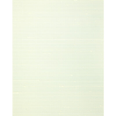WNS5548-WT MISHEO MINT WINFIELD THYBONY Wallpaper