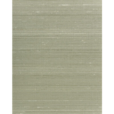 WNS5556-WT AMBROSE SAGE WINFIELD THYBONY Wallpaper