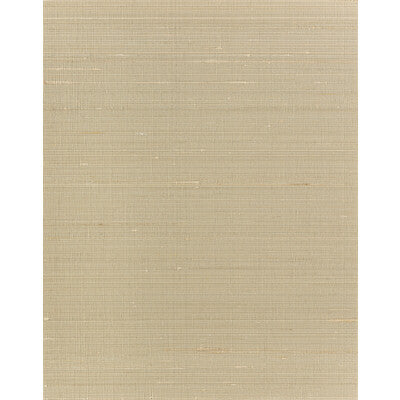 WNS5564-WT AMBROSE DESERT WINFIELD THYBONY Wallpaper