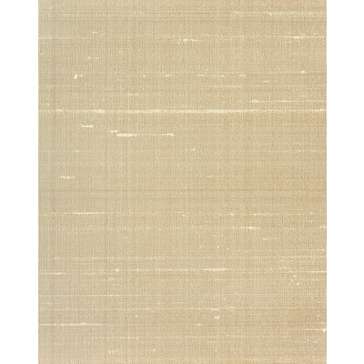 WNS5593-WT CARRINGTON TAN WINFIELD THYBONY Wallpaper