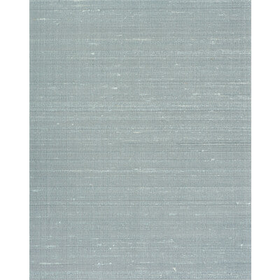 WNS5605-WT CARRINGTON AIR FORCE BLUE WINFIELD THYBONY Wallpaper