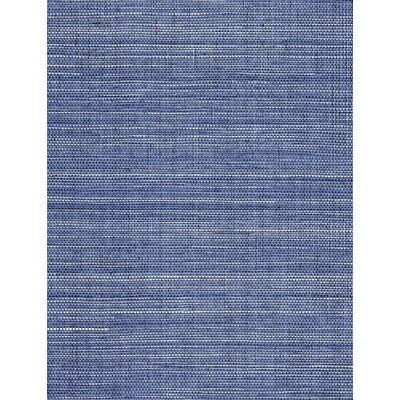 WNW2246-WT SOLO SISAL HEAVENLY BLUE WINFIELD THYBONY Wallpaper