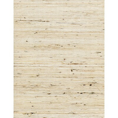 WNW2257-WT CONCERTO TUSK WINFIELD THYBONY Wallpaper