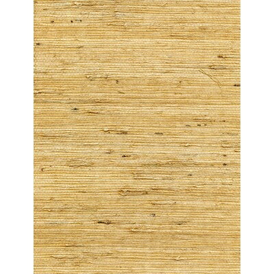WNW2260-WT CONCERTO SAFFRON WINFIELD THYBONY Wallpaper