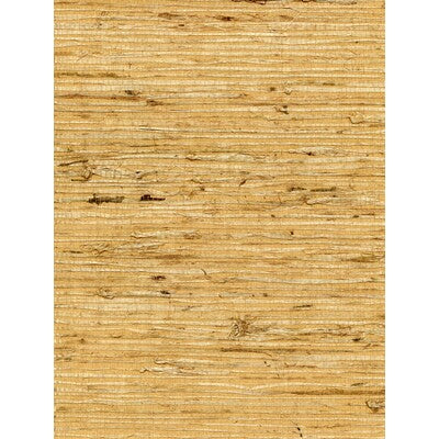 WNW2261-WT CONCERTO OCHRE WINFIELD THYBONY Wallpaper