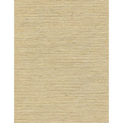 WNW2271-WT ALLEGRIA CANDLELIGHT WINFIELD THYBONY Wallpaper