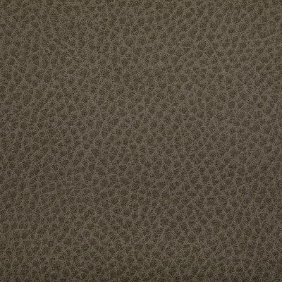 WOOLF-106 WOOLF ETRUSCAN KRAVET CONTRACT UPHOLSTERY