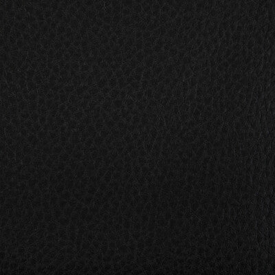WOOLF-8 WOOLF STALLION KRAVET CONTRACT UPHOLSTERY