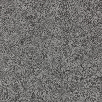 WPW1134-WT ENDURING CHARCOAL WINFIELD THYBONY Wallpaper