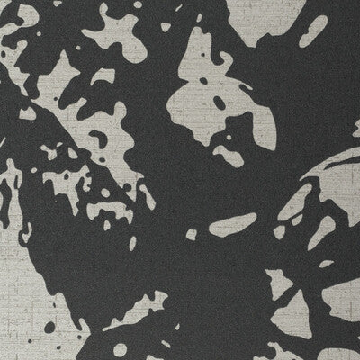 WPW1268-WT SUBLIME GRAPHITE WINFIELD THYBONY Wallpaper