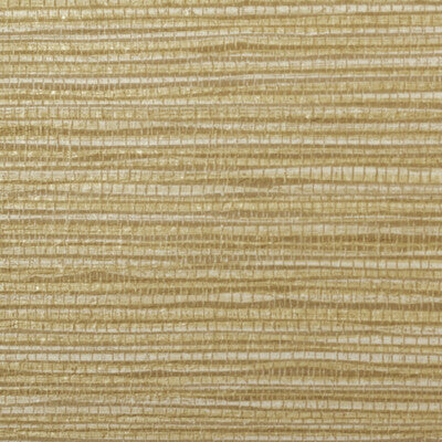 WPW1291-WT KRAUSS MADRAS WINFIELD THYBONY Wallpaper