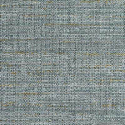 WPW1437-WT BOUQUET WEAVE CHAMBRAY WINFIELD THYBONY Wallpaper
