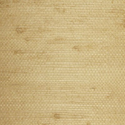 WSE1266-WT WINFIELD THYBONY WSE1266-WT WINFIELD THYBONY Wallpaper