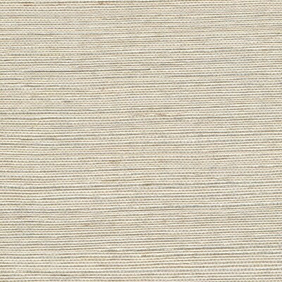 WSS4503-WT METALLIC SISAL PARCHMENT WINFIELD THYBONY Wallpaper