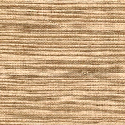 WSS4515-WT SISAL MOCHA WINFIELD THYBONY Wallpaper