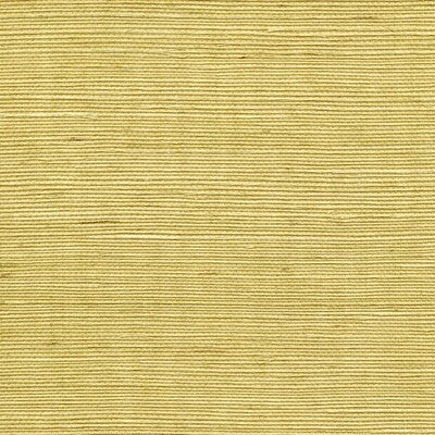 WSS4527-WT SISAL CITRINE WINFIELD THYBONY Wallpaper
