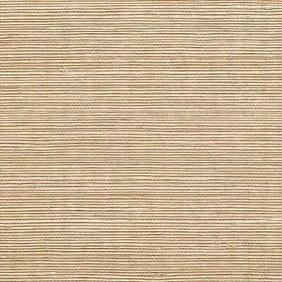 WSS4557-WT SISAL MOSS WINFIELD THYBONY Wallpaper