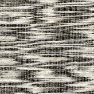 WSS4576-WT METALLIC SISAL SHADOW WINFIELD THYBONY Wallpaper