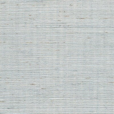 WSS4584-WT METALLIC SISAL SKY WINFIELD THYBONY Wallpaper