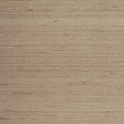 WTE6039-WT ETTORE SILK RIVER ROCK WINFIELD THYBONY Wallpaper