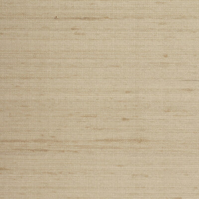 WTE6045-WT ETTORE SILK MUSHROOM WINFIELD THYBONY Wallpaper