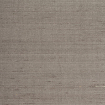 WTE6048-WT ETTORE SILK IVY LEAGUE WINFIELD THYBONY Wallpaper