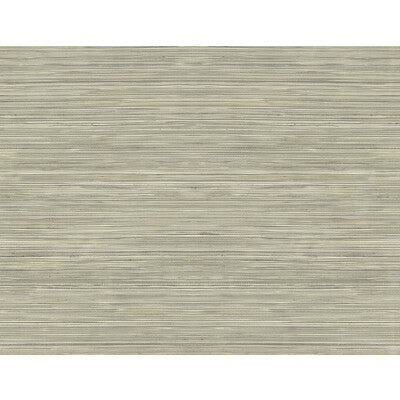 WTK15316-WT GRASSCLOTH TEXTURE TAUPE WINFIELD THYBONY Wallpaper