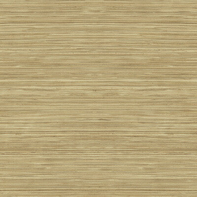 WTK15325P-WT GRASSCLOTH TEXTURE DESSERTP WINFIELD THYBONY Wallpaper
