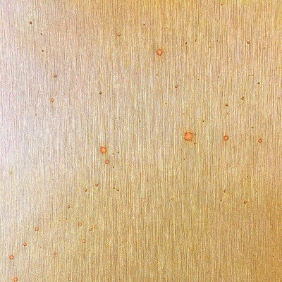 WUE2043-WT TEXTUREDFOIL WINFIELD THYBONY Wallpaper