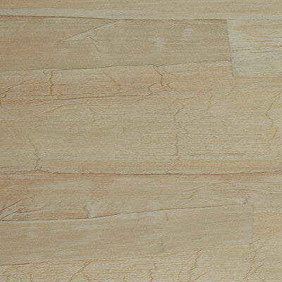 WUE2055-WT PALMA WINFIELD THYBONY Wallpaper