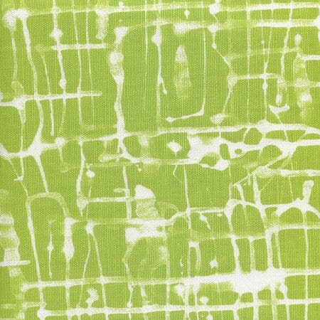 AC995-07 TWILL REVERSE Palm Green on White Quadrille Fabric