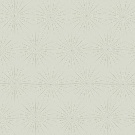 BO6693 Starlight York Wallpaper