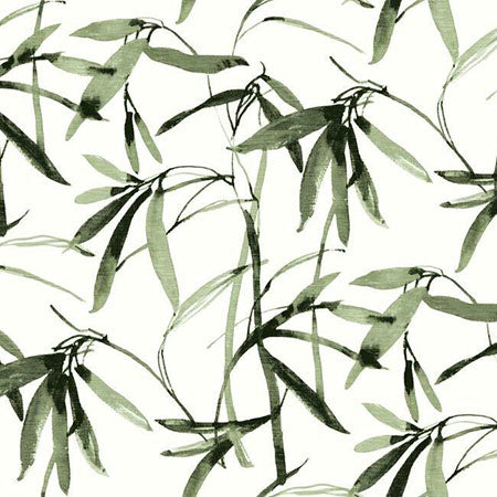 BW3842 Bamboo Ink York Wallpaper