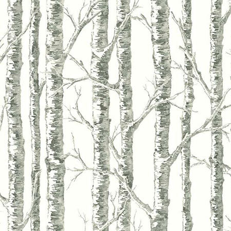 BW3901 Paper Birch York Wallpaper