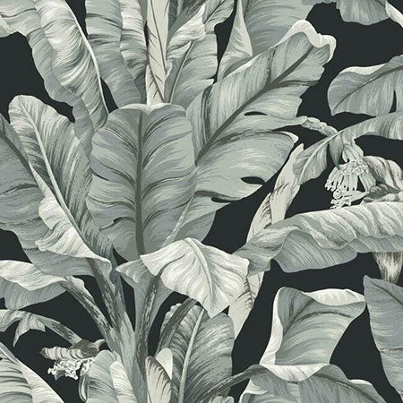 BW3971 Banana Leaf York Wallpaper