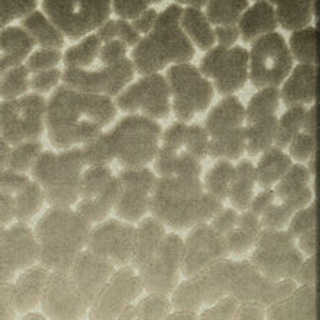 CHEVY Mushroom Norbar Fabric