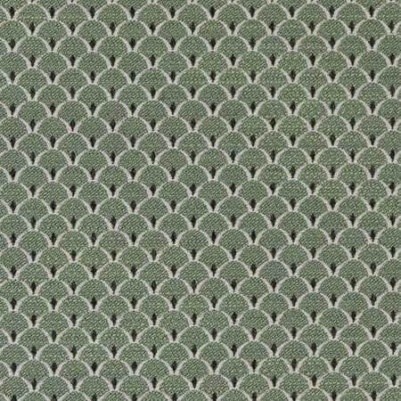 D2146 Spring Scales Charlotte Fabric