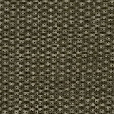 D2193 Basil Charlotte Fabric