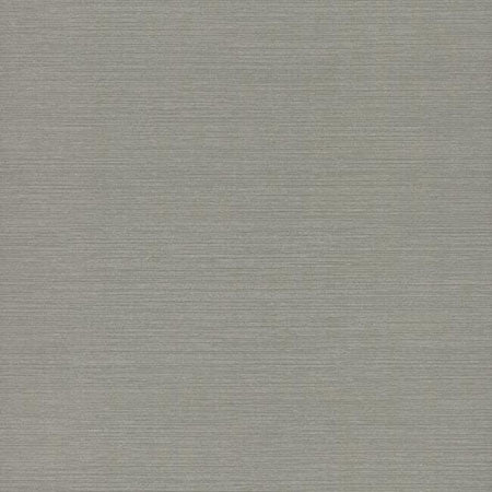 DD3732 SHINING SISAL York Wallpaper