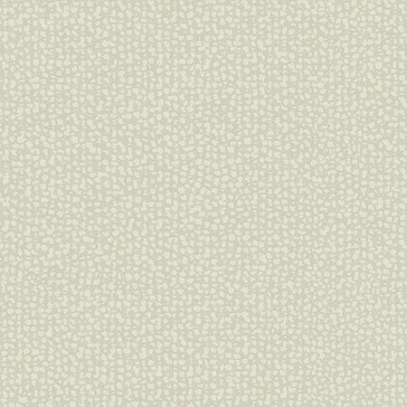 DD3805 GALAXIES York Wallpaper