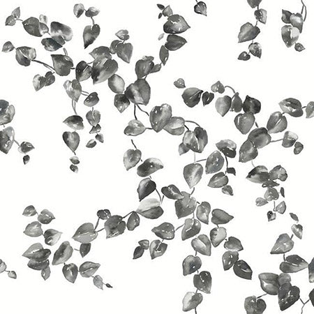 FH4036 Creeping Fig Vine York Wallpaper