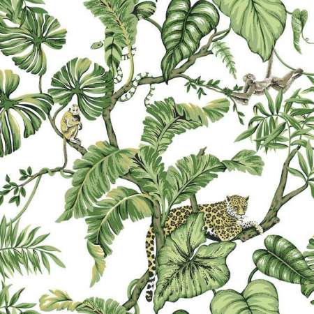 HO2145 JUNGLE CAT York Wallpaper