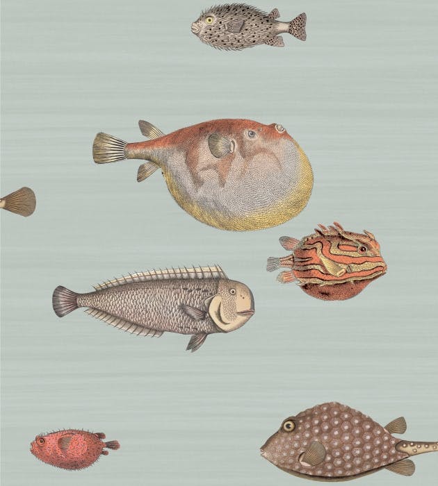 97/10030-CS ACQUARIO Pal Bl Mlt Cole & Son Wallpaper