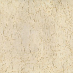 WISTFUL Champagne Norbar Fabric
