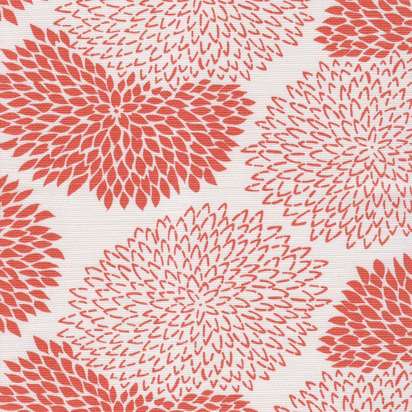 6290-13 NEW CHRYSANTHEMUM Coral on White Quadrille Fabric
