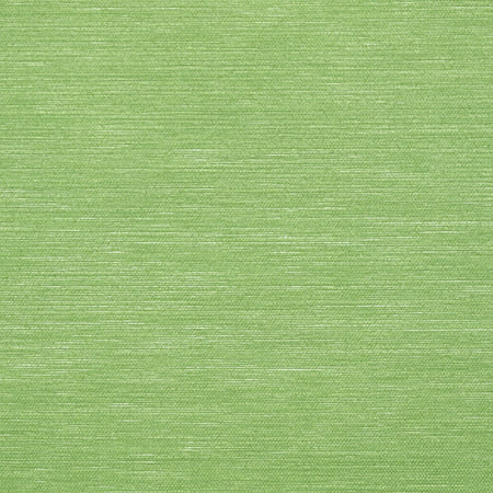 T13107 SURFRIDER Emerald Green Thibaut Wallpaper