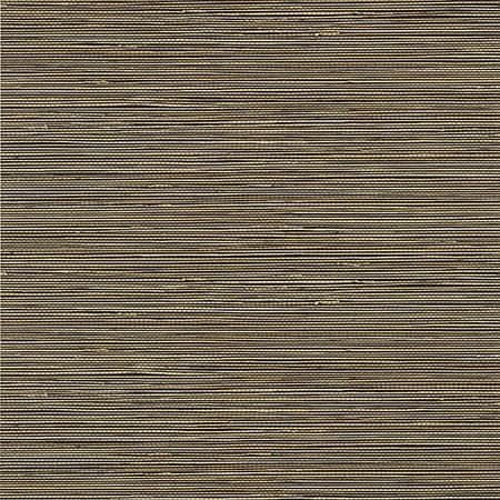 T13347 ST. THOMAS Black Thibaut Wallpaper