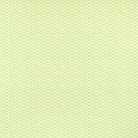 T13365 AKARI Spring Thibaut Wallpaper