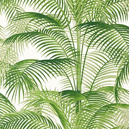 T13938 DELRAY Green Thibaut Wallpaper
