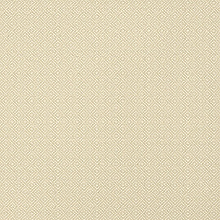 T14539 RIMBA Camel Thibaut Wallpaper